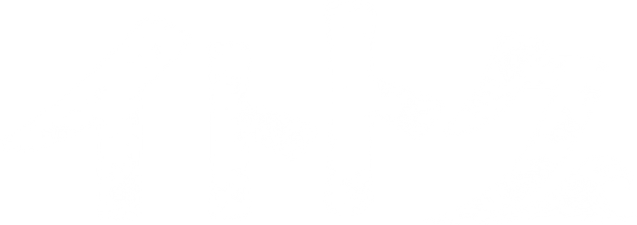 イトトク